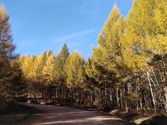 -塞罕坝国家级自然保护区