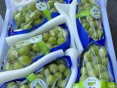 -西郊国际农产品交易中心