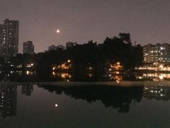 -荔湾湖公园