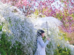 -杭州城北体育公园
