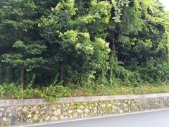 -广州市干部健康管理中心