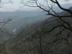 -牛背梁国家森林公园