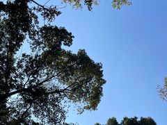 -青龙山国家森林公园