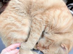 -安徽工业大学(秀山校区)