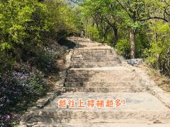 -香山公园