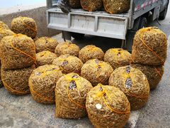 -北海金海湾红树林生态旅游区