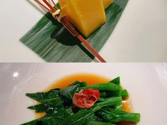 凯特芒果-觀芷隐轩