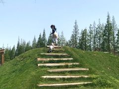 -前小桔亲子创意农场·草莓采摘·露营烧烤