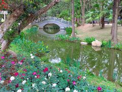 -人民公园(罗湖区)