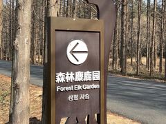 -日照海滨国家森林公园