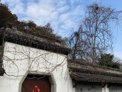 -杭州植物园