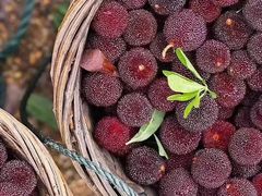 -温州一家人美食(西木头市店)