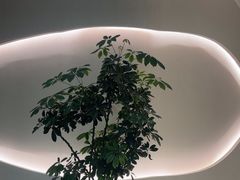 -小仙女采耳·按摩·SPA(深圳旗舰店)