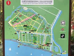 -合肥滨湖国家森林公园