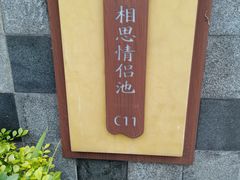 -台山颐和温泉城