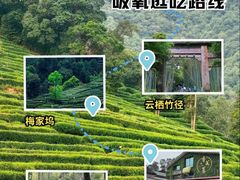 -香芙茗茶楼(梅家坞总店)