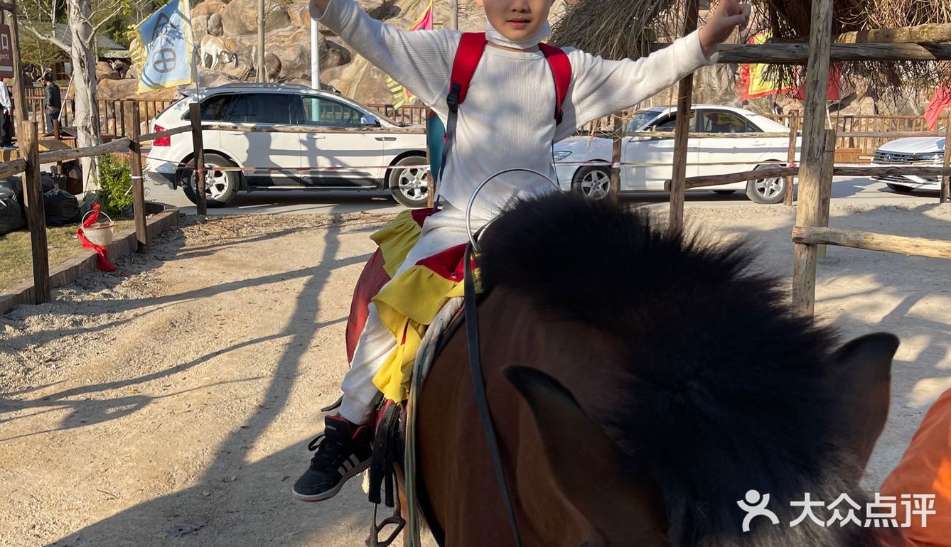 ¥10喂迷你网红小猪🐷玩激流水滑道💧潮州长隆亲子乐园