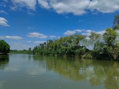 -合肥滨湖国家森林公园