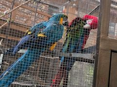 -南宫五洲植物乐园