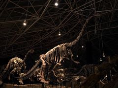 -世界恐龙谷景区