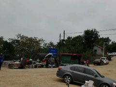 -六里坪国家森林公园