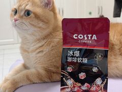 -COSTA COFFEE(上海五玠坊店)