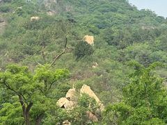 -北京鹫峰国家森林公园