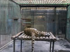 -郑州市动物园