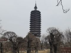 -西海子公园