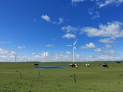 -银肯塔拉沙漠生态旅游景区