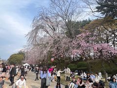 -名古屋城