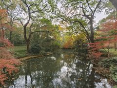 -杭州西湖柳莺里酒店·闻莺厅