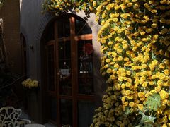 -月亮眼花园餐厅书吧酒吧