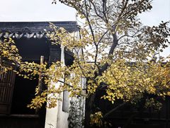 -黎里古镇