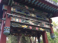 -迎泽公园