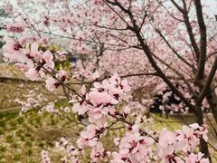 -元大都城垣遗址公园