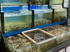 水产区-老东镇啤酒屋海鲜加工·蒸汽海鲜·海鲜烧烤(台东店)