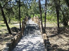 -白水寺森林公园