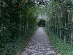 -云岗森林公园