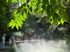 -北京西山国家森林公园