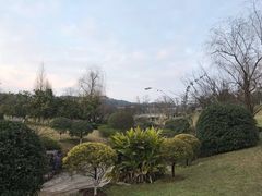 -铁山坪森林公园