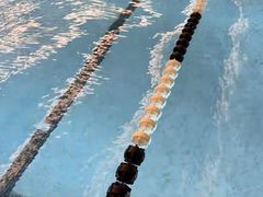 -重庆市奥林匹克体育中心-游泳跳水馆