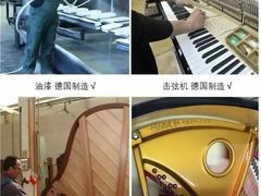 -秦川乐器(河西店)