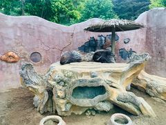 -大连森林动物园