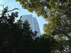-静安公园(静安寺街道)