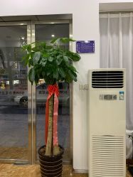 -SOR索尔祛痘·面部肌肤管理