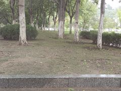 -星巴克(济南丁豪广场店)