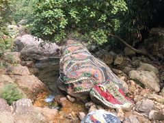 -南海湾森林生态园