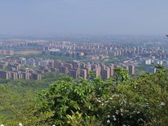 -杭州半山国家森林公园