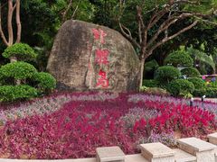 -野狸岛